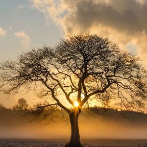 Meet your Posher, Iqbal